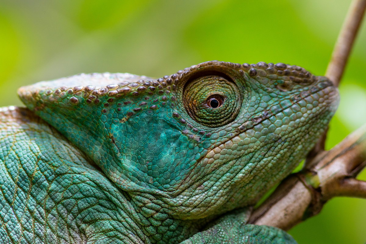 Madagaskar Madagaskar