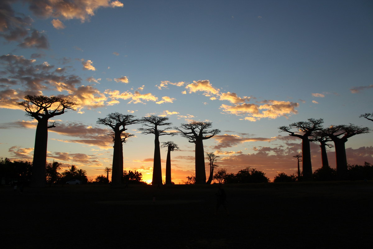 Madagaskar Madagaskar