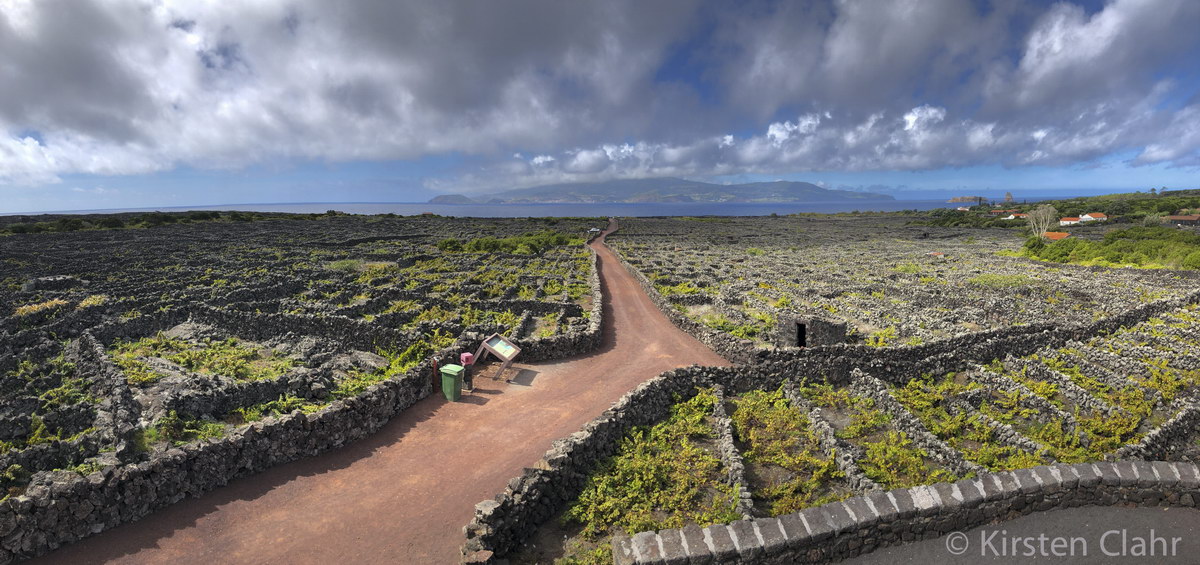 Zona das Adegas, Pico Zona das Adegas, Pico