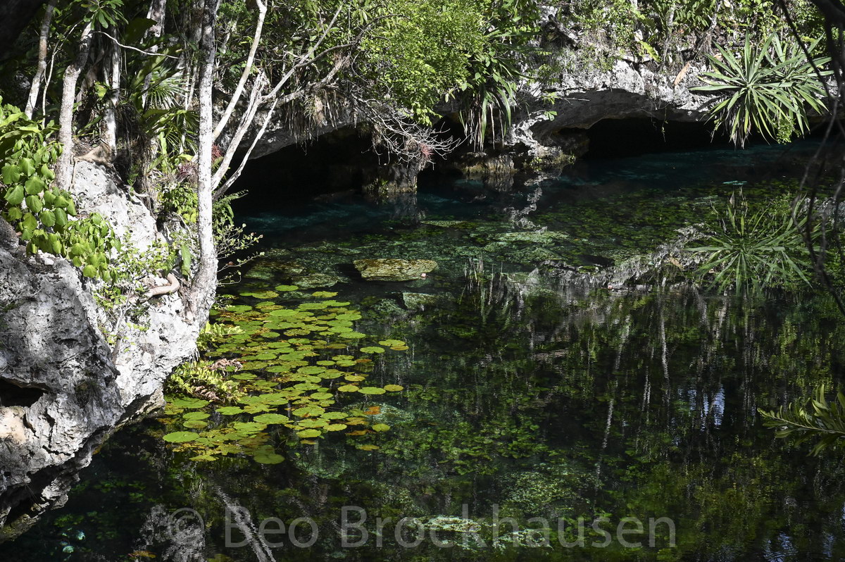 Cenote Cenote