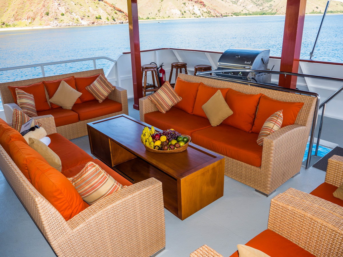 Partydeck Partydeck