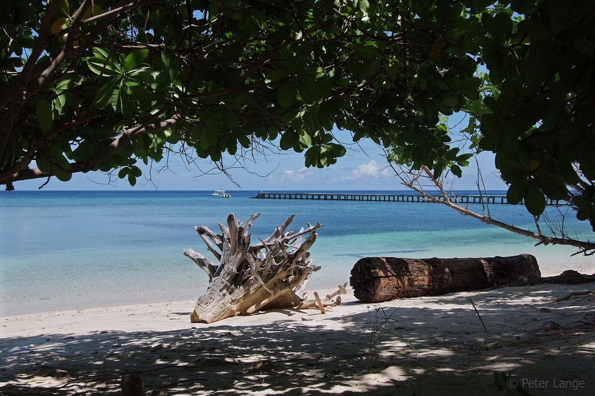 Selayar Tauchresort Selayar Tauchresort