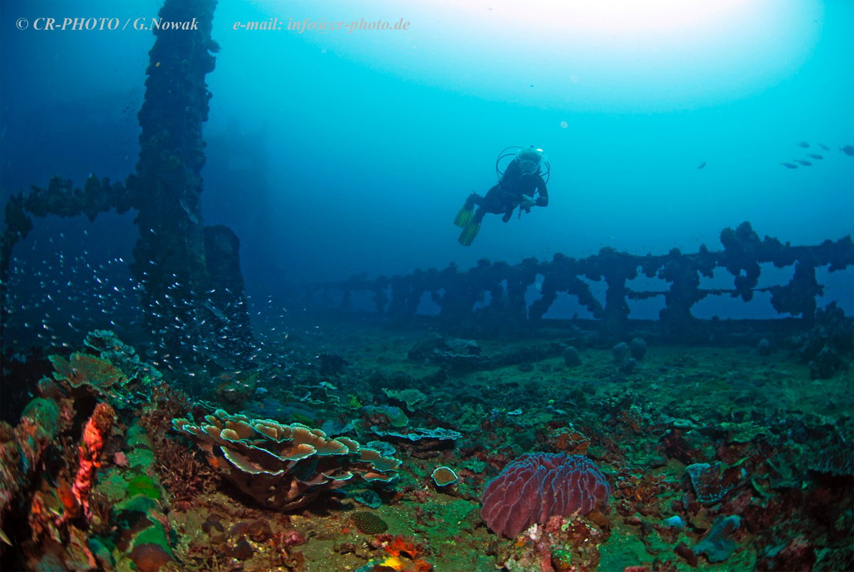 Tauchen mit dem Dugong Dive Center Tauchen mit dem Dugong Dive Center