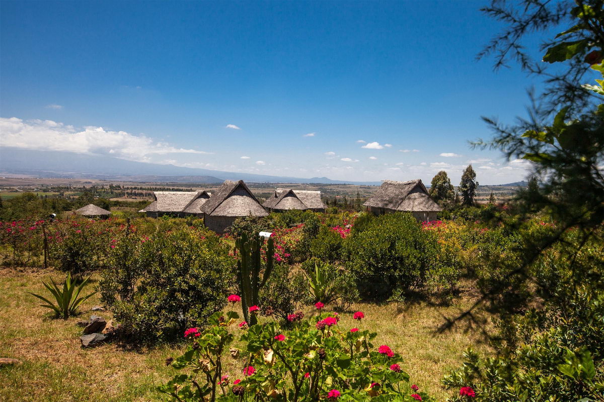 Rhino Watch Safari Lodge Rhino Watch Safari Lodge