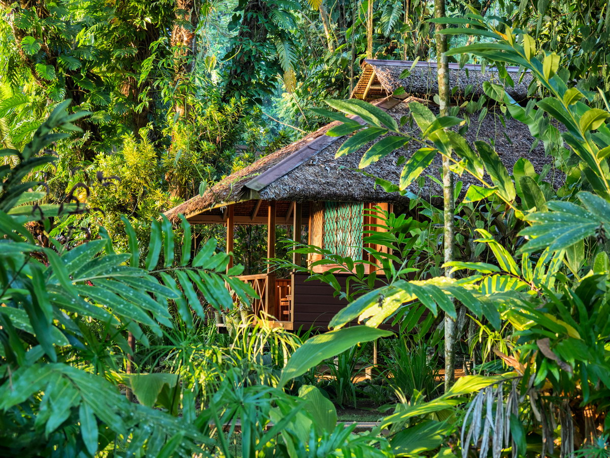 © David & Melanie Schuler © David & Melanie Schuler