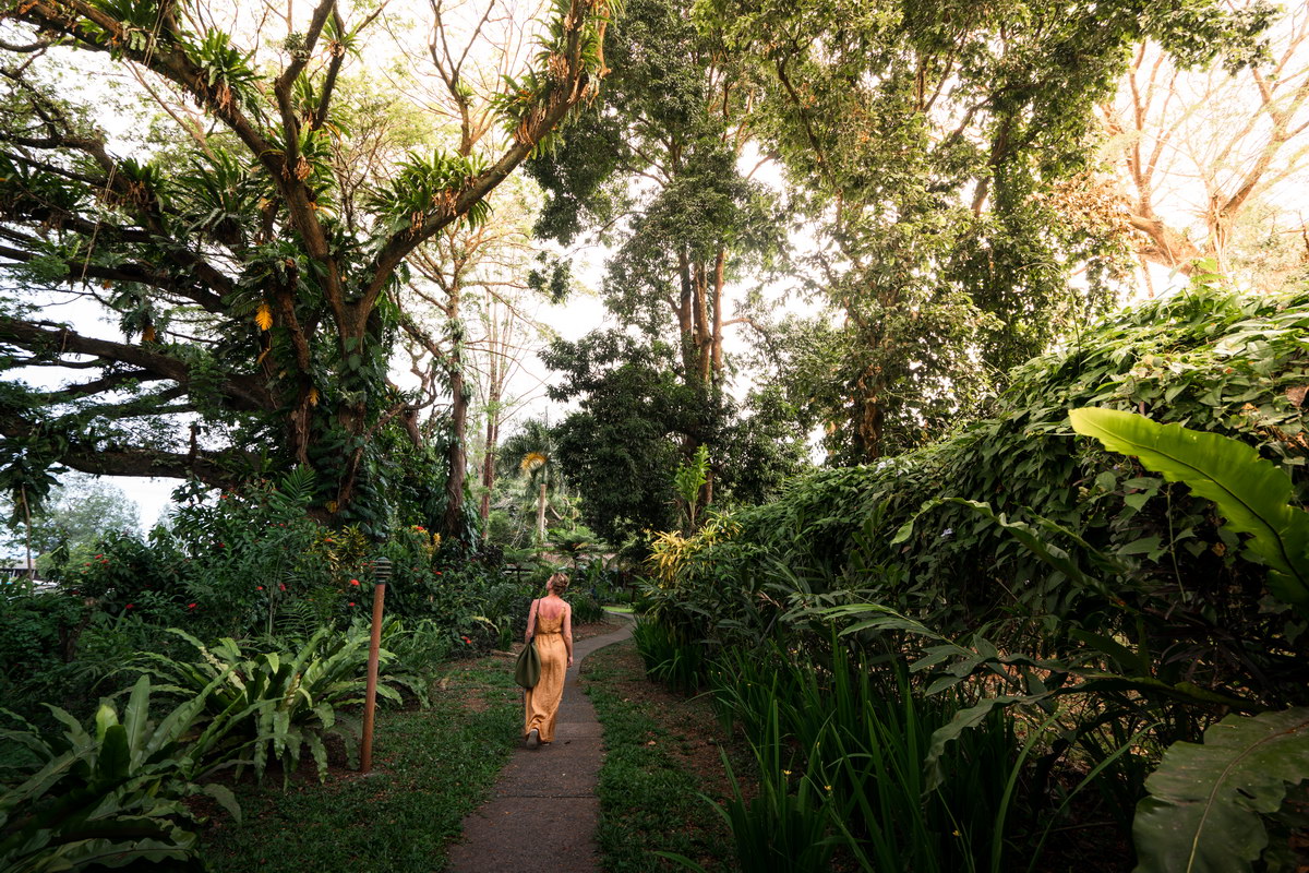 Garten © Brook Sabin & Radha Engling Garten