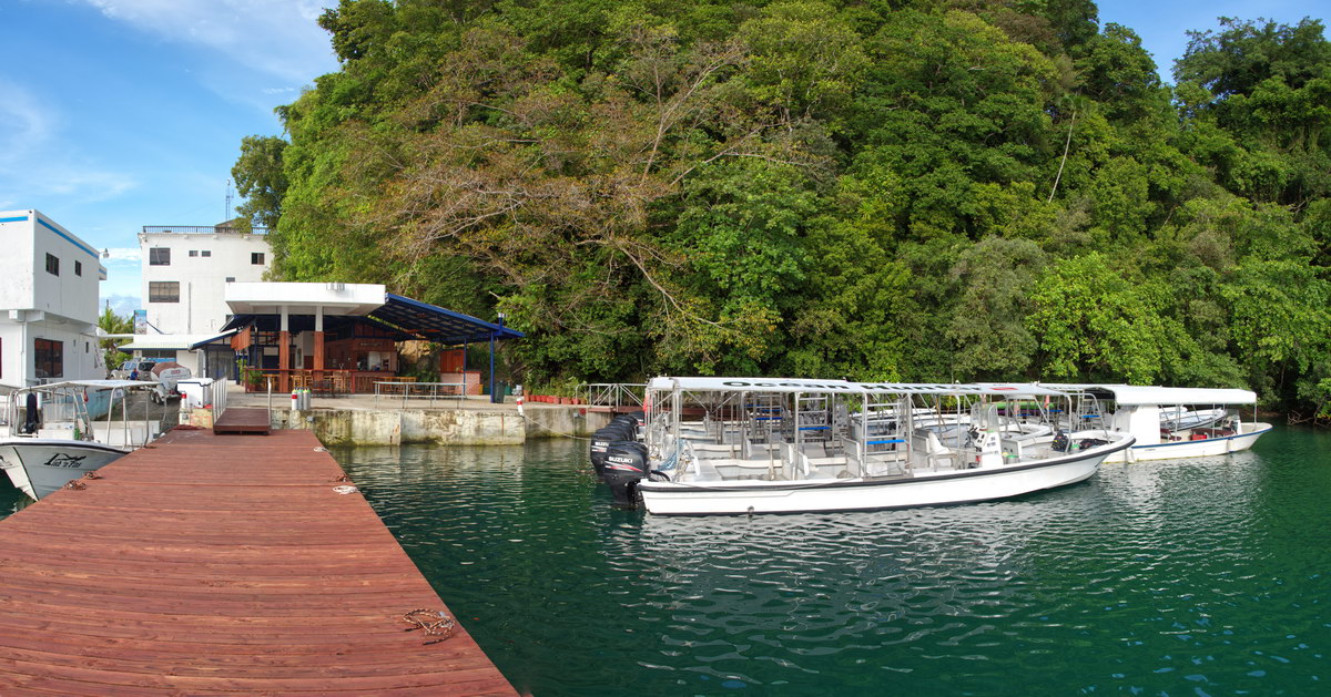 Pier Piter