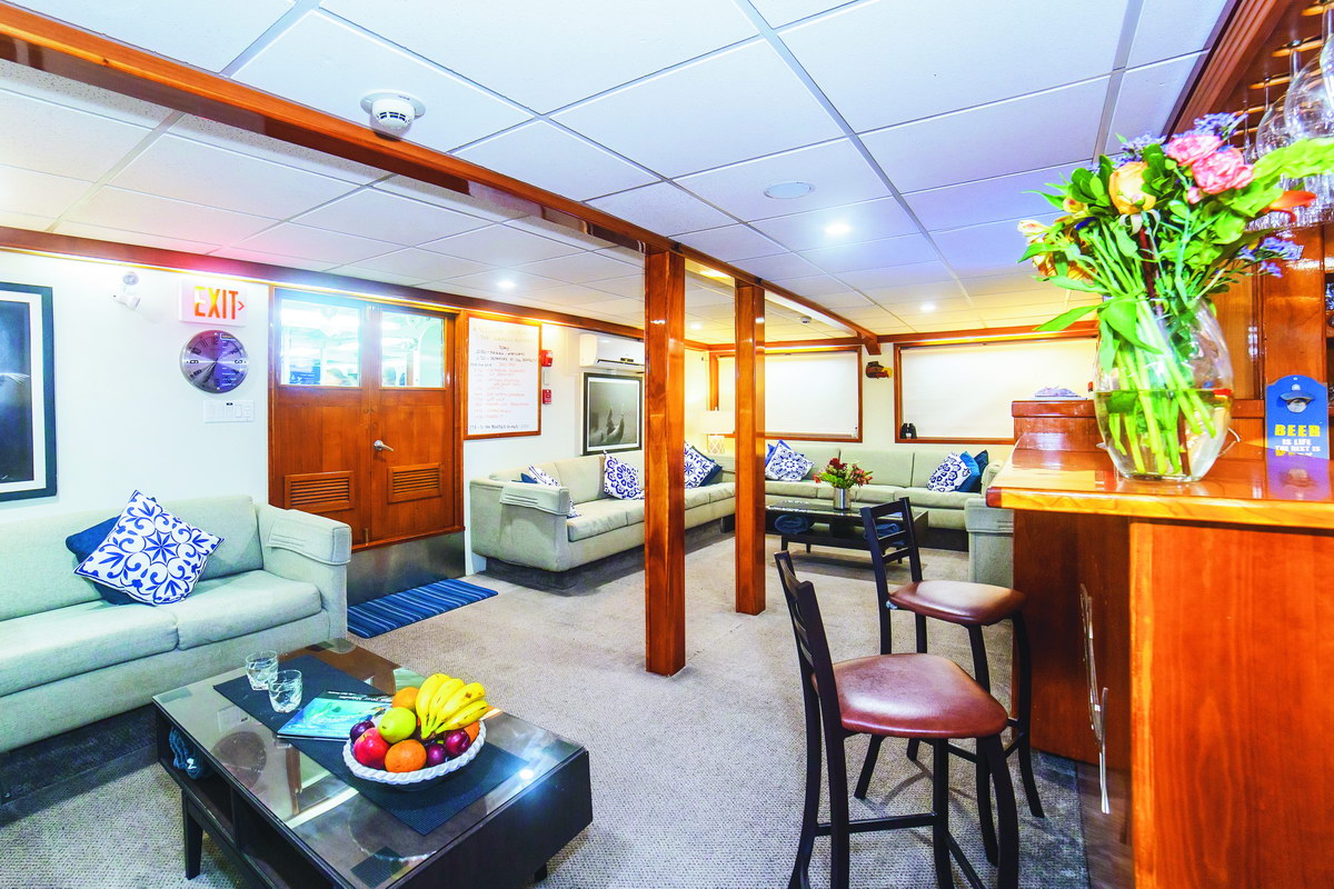 Lounge Lounge