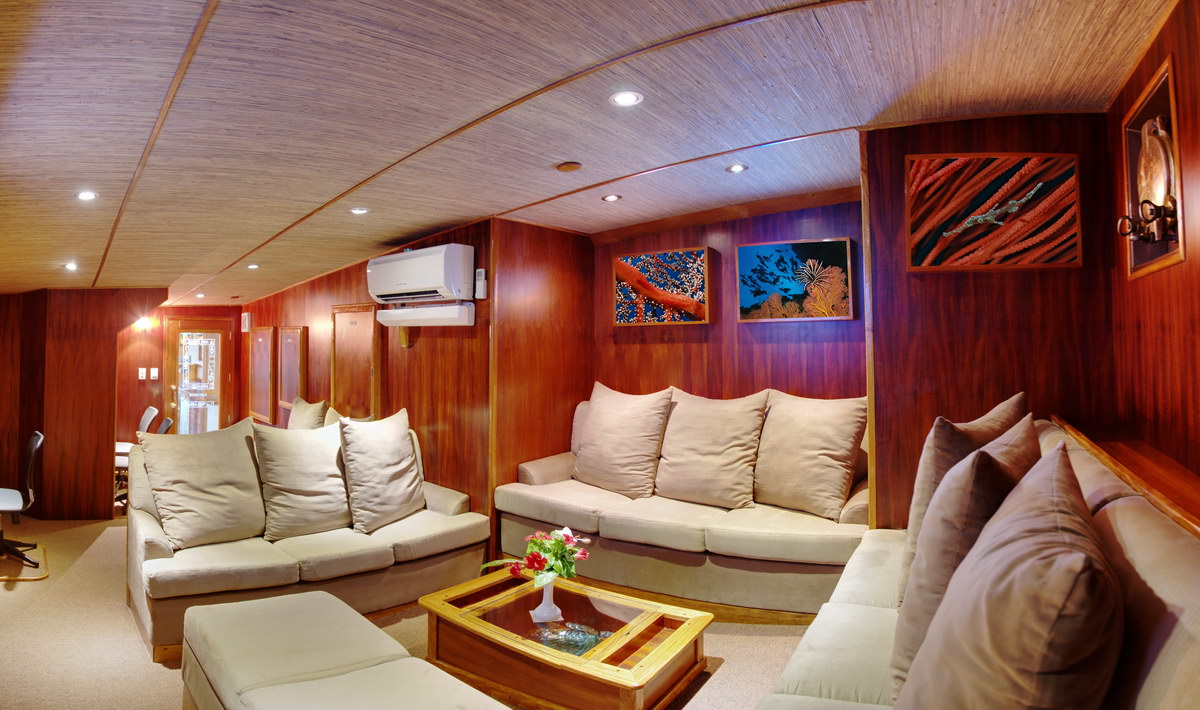 Lounge Lounge