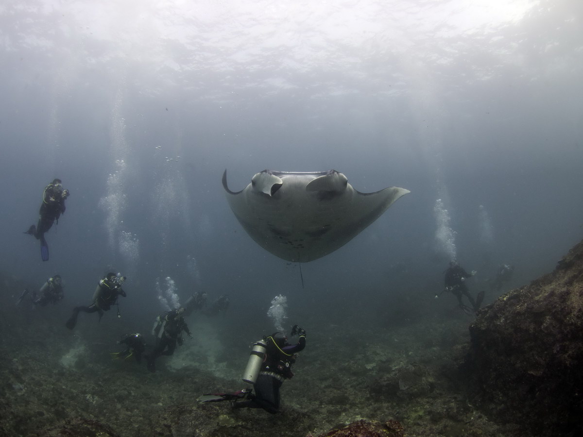 Mantas, Bali Mantas, Bali