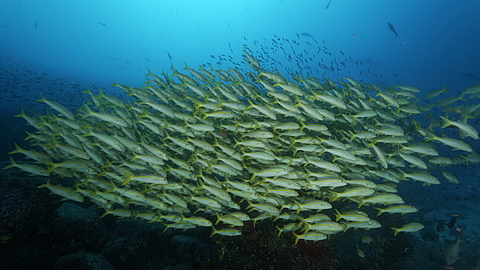 © Robert Wilpernig © Robert Wilpernig