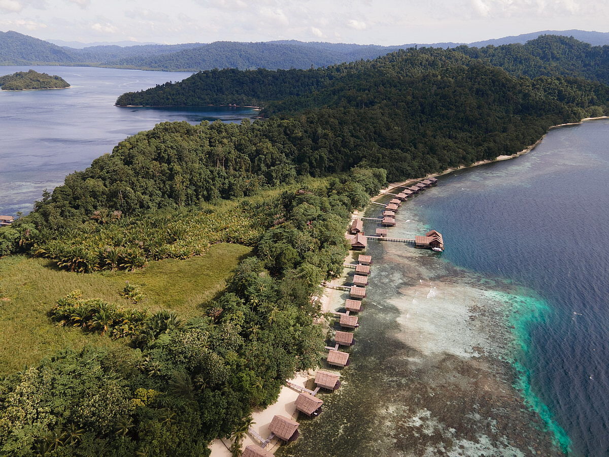 Papua Paradise Eco Resort Papua Paradise Eco Resort