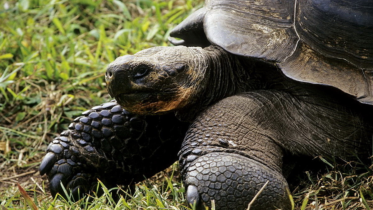 © Robert Wilpernig © Robert Wilpernig