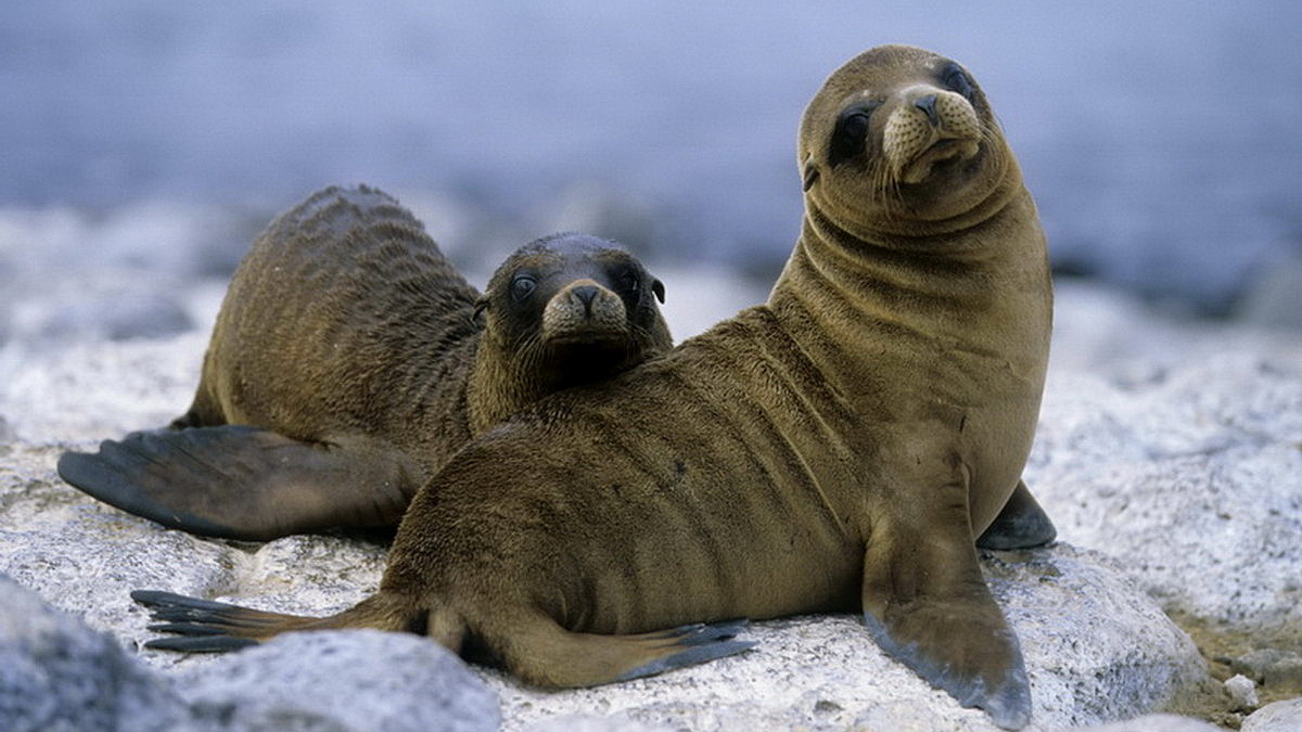 © Robert Wilpernig © Robert Wilpernig