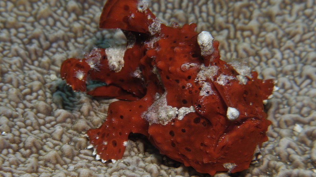 © Robert Wilpernig © Robert Wilpernig