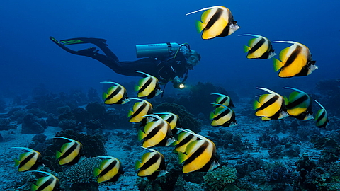 © Udo Kefrig © Udo Kefrig