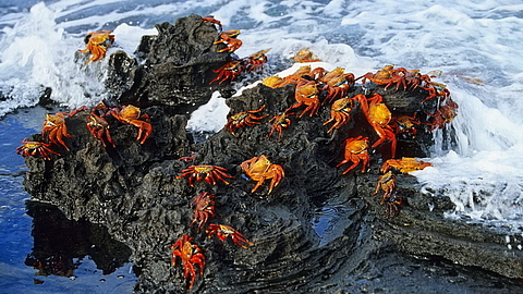 © Robert Wilpernig © Robert Wilpernig