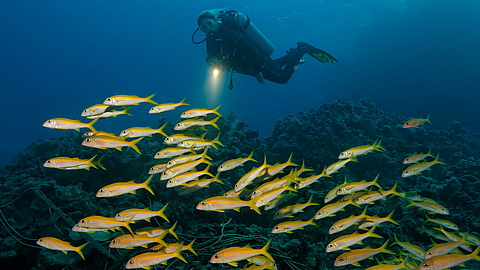 © Udo Kefrig © Udo Kefrig