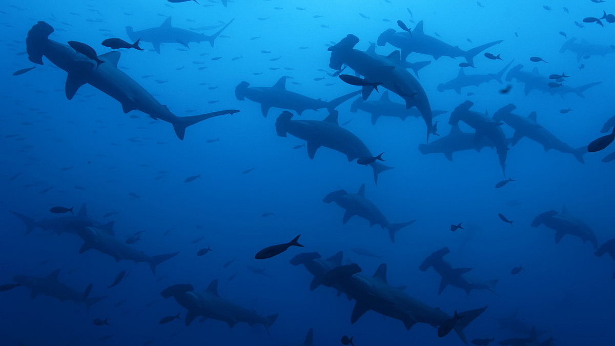 © Robert Wilpernig © Robert Wilpernig