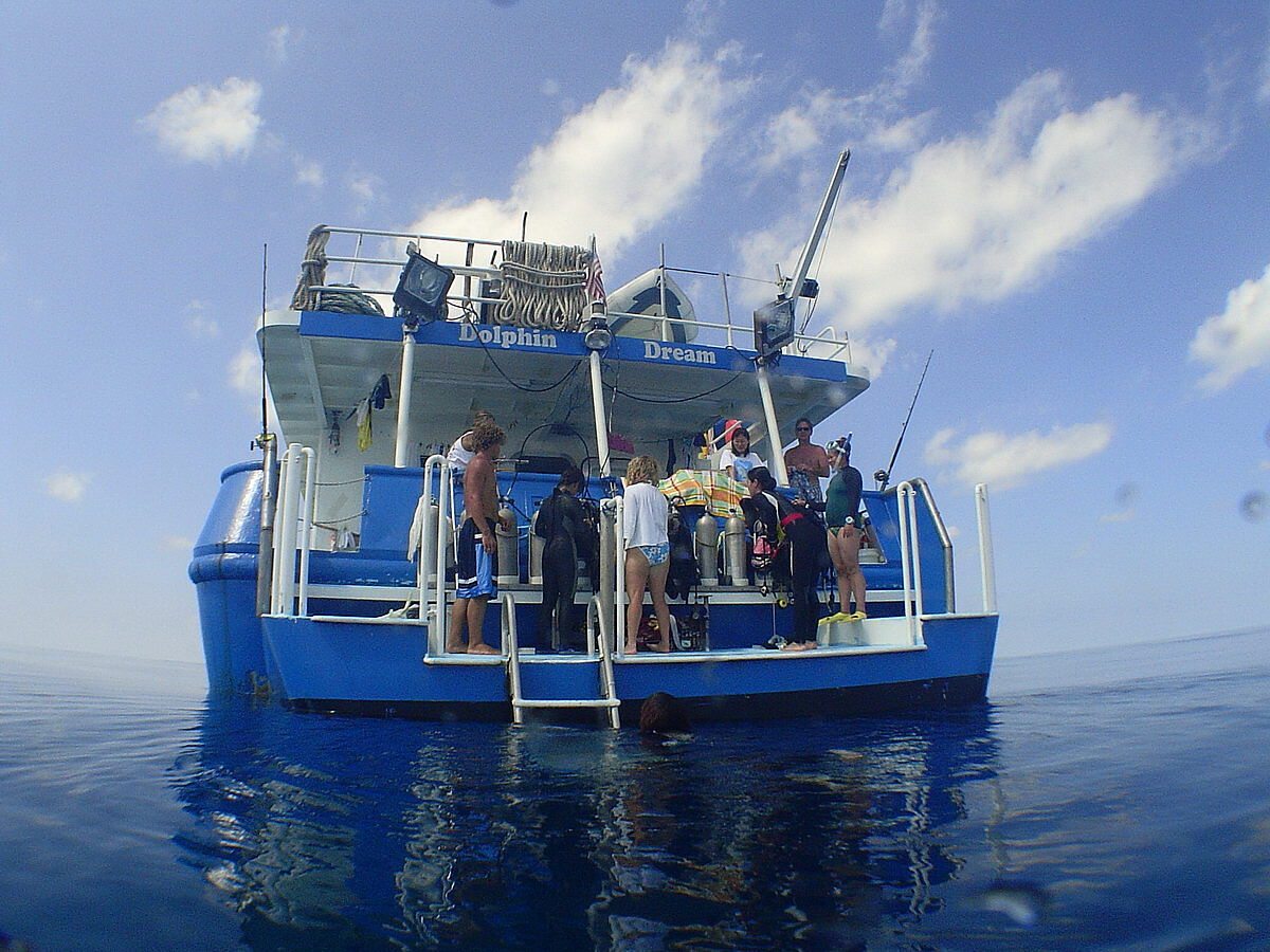 Tauchdeck Tauchdeck