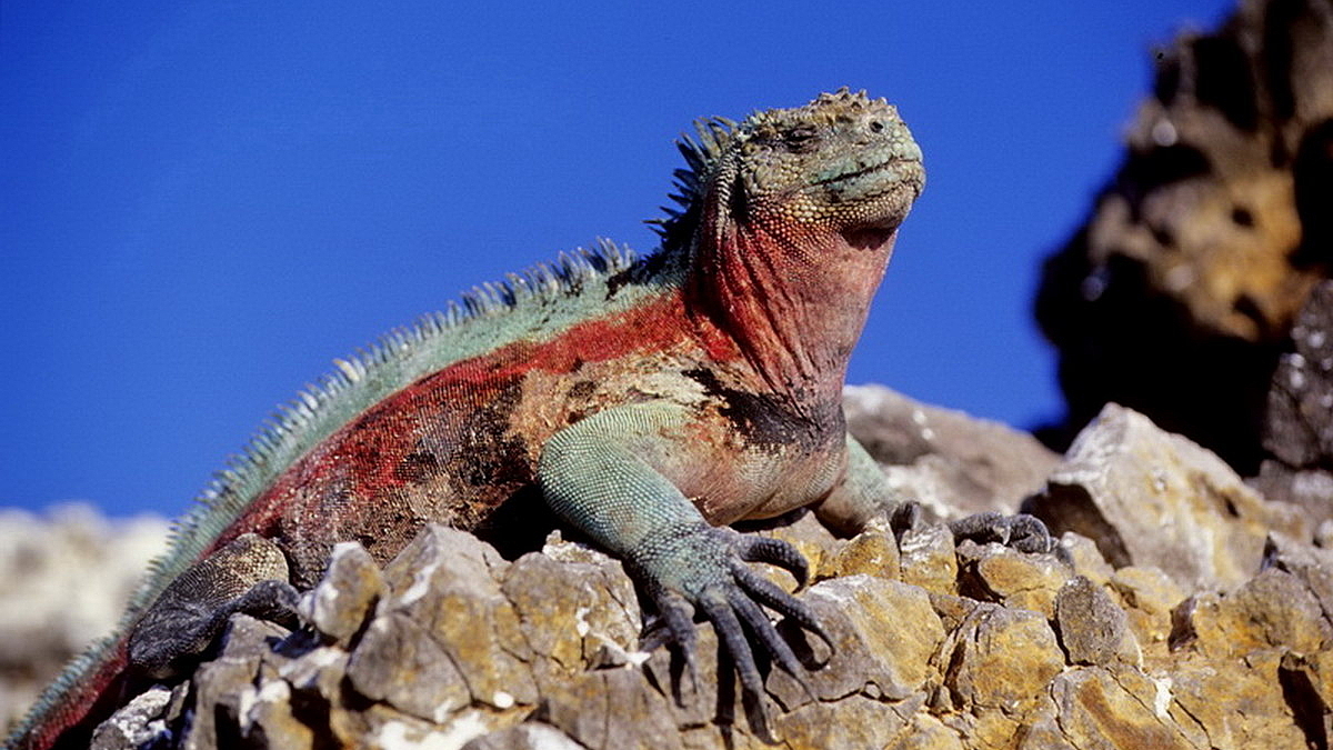 © Robert Wilpernig © Robert Wilpernig