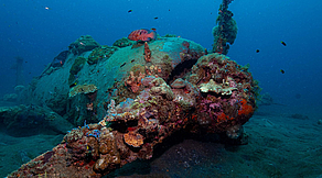 Emperor Divers Honiara Emperor Divers Honiara