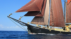 Bandasee & Triton Bay Tauchsafari Bandasee & Triton Bay Tauchsafari