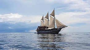 Misool & Triton Bay Tauchsafari Misool & Triton Bay Tauchsafari