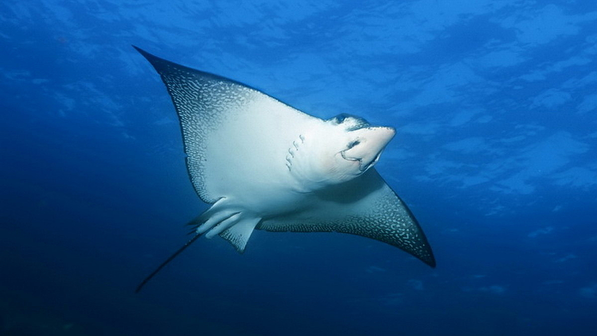 © Robert Wilpernig © Robert Wilpernig