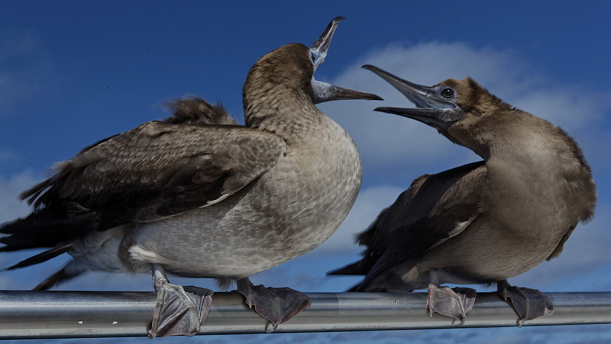 © Robert Wilpernig © Robert Wilpernig