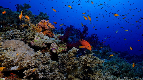 © Robert Wilpernig © Robert Wilpernig