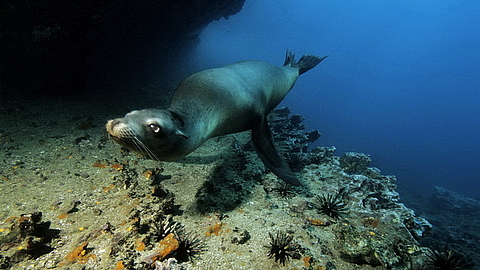 © Robert Wilpernig © Robert Wilpernig