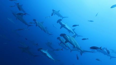 © Robert Wilpernig © Robert Wilpernig