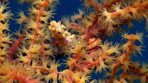 © Robert Wilpernig © Robert Wilpernig