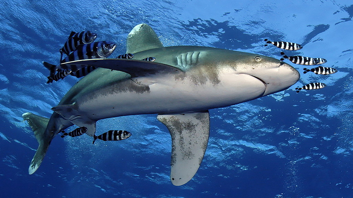 © Robert Wilpernig © Robert Wilpernig