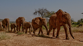 Sonderreise Magisches Kenia Sonderreise Magisches Kenia