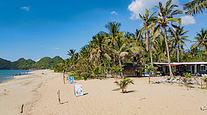 Sea Explorers Sipalay Sea Explorers Sipalay