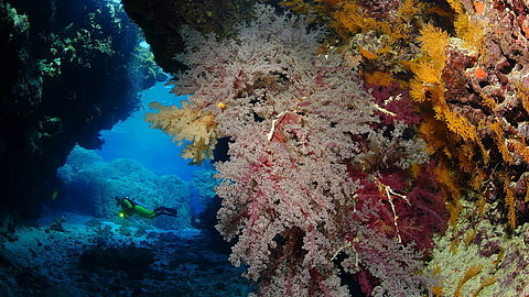 © Robert Wilpernig © Robert Wilpernig