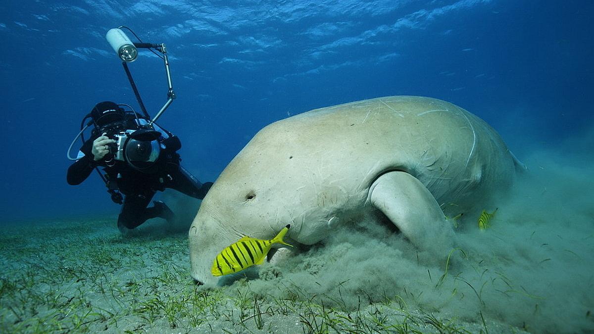 © Robert Wilpernig © Robert Wilpernig