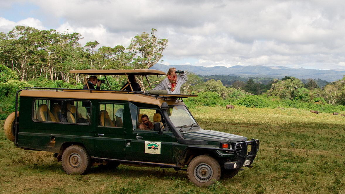 Game Drive Game Drive