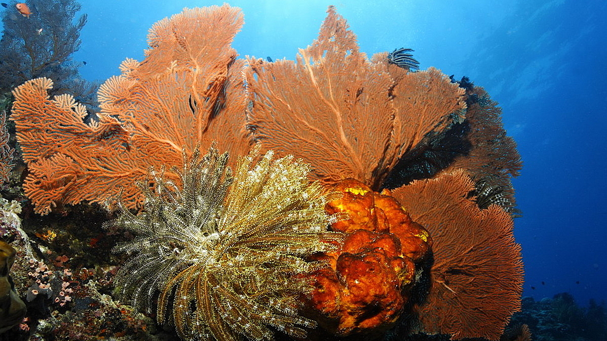 © Robert Wilpernig © Robert Wilpernig