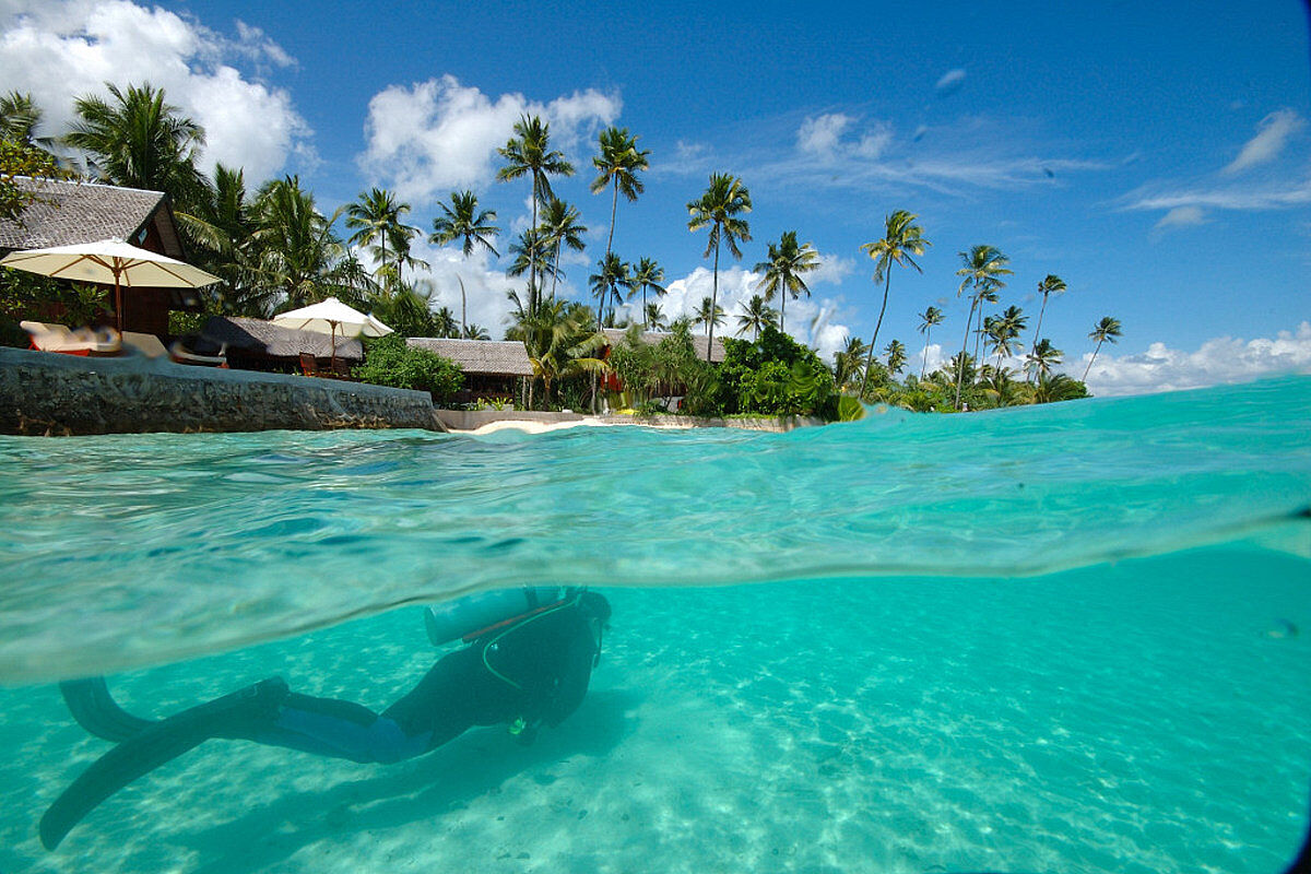 Wakatobi Wakatobi