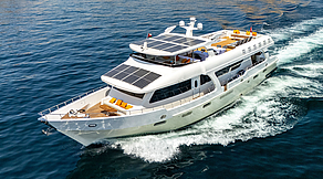 The Vision The Vision