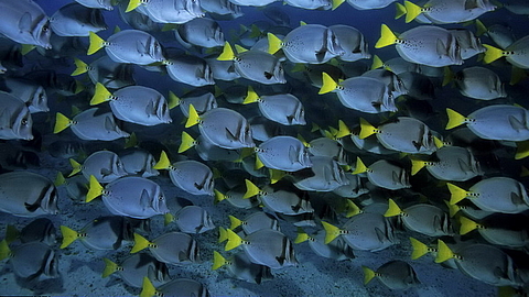 © Robert Wilpernig © Robert Wilpernig