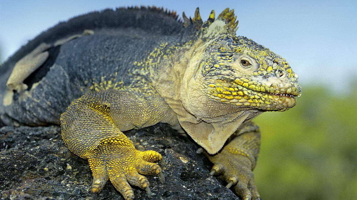 © Robert Wilpernig © Robert Wilpernig