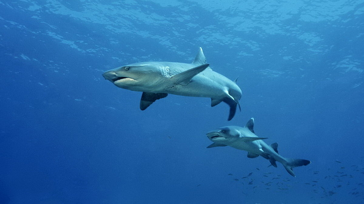 © Robert Wilpernig © Robert Wilpernig