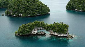 Palau Tauchsafari & Vorprogramm Sam’s Tours Palau Tauchsafari & Vorprogramm Sam’s Tours